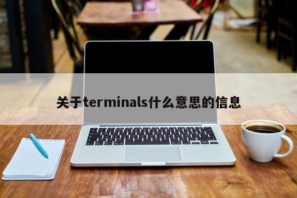 关于terminals什么意思的信息